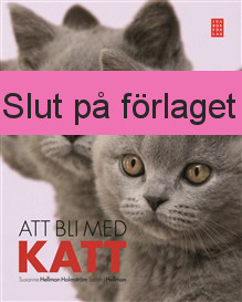 Att bli med katt