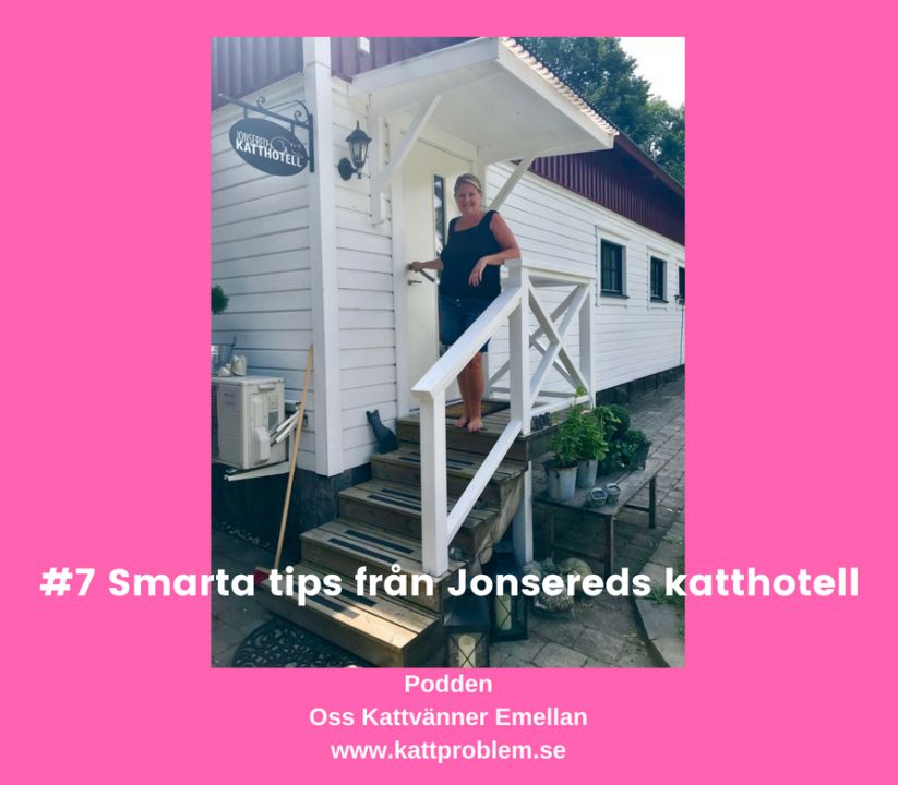 #7 Smarta tips från Jonsereds katthotell