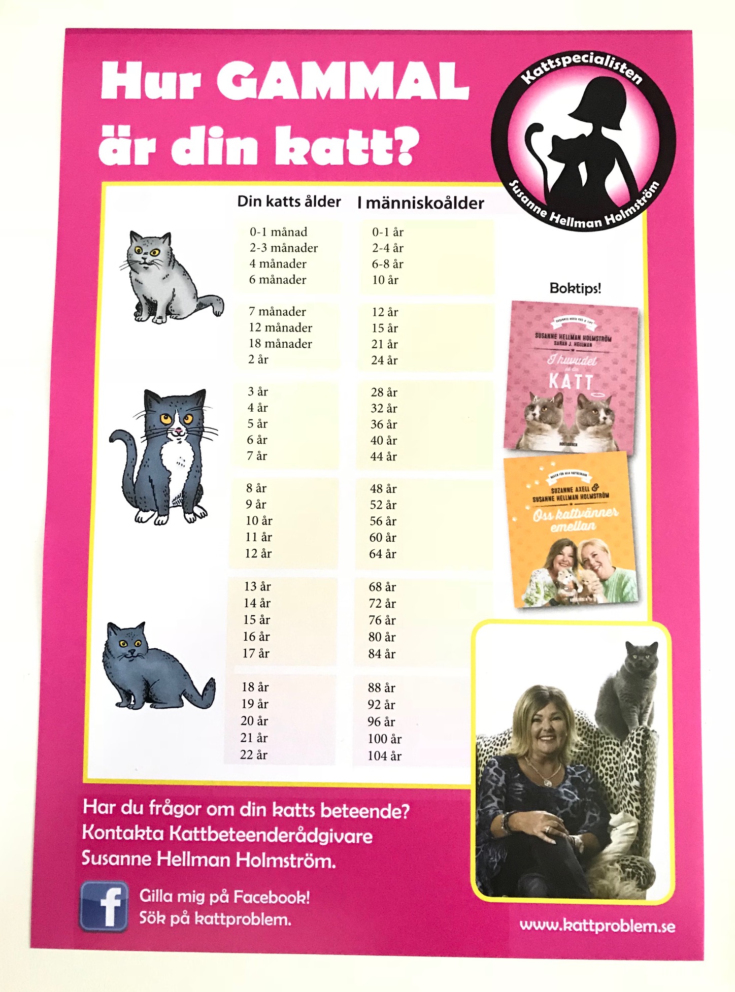 Udtømning Søndag Kurve Hur gammal är din katt egentligen? - Kattproblem