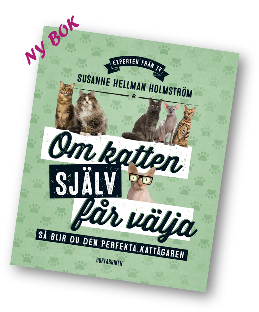 Om katten själv får välja - Susanne Hellman Holmström Ny bok - Om katten själv får välja - Katt expert